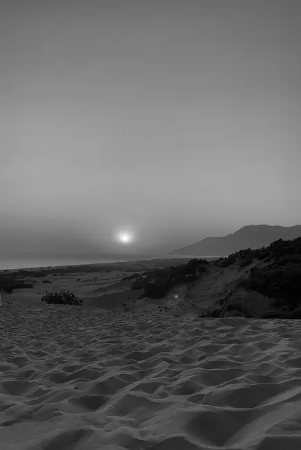 Desert B&W